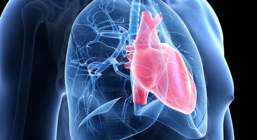 Inhibikase Therapeutics Receives FDA Orphan Drug Designation For IKT-001 In Pulmonary Arterial Hypertension
