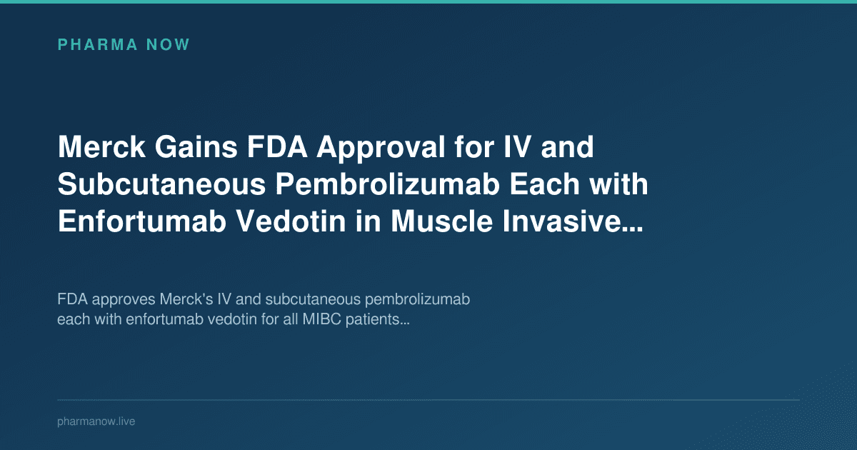 Merck Gains FDA Approval for IV and Subcutaneous Pembrolizumab Each with Enfortumab Vedotin in Muscle Invasive Bladder Cancer