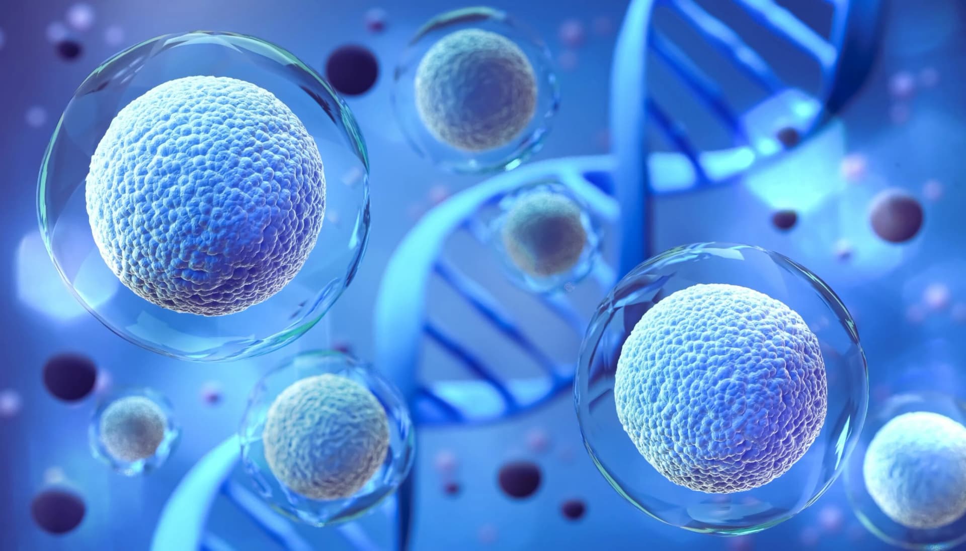CHA Biotech’s Next-Gen NK Cell Therapy Gets Development Boost from KDDF