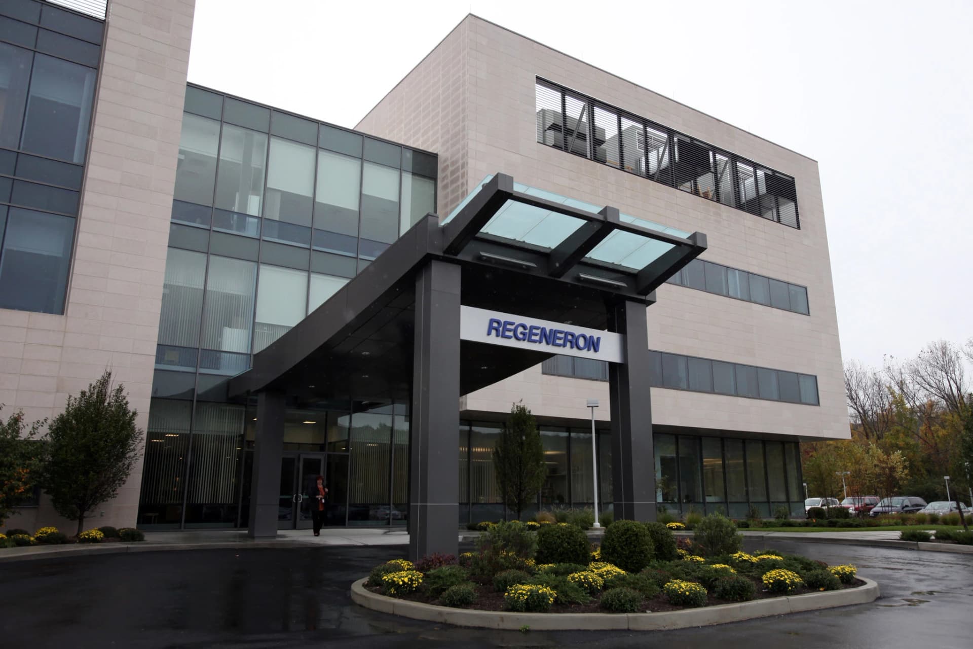 CHMP Backs Odronextamab For EU Approval In Treating Tough Lymphoma Cases