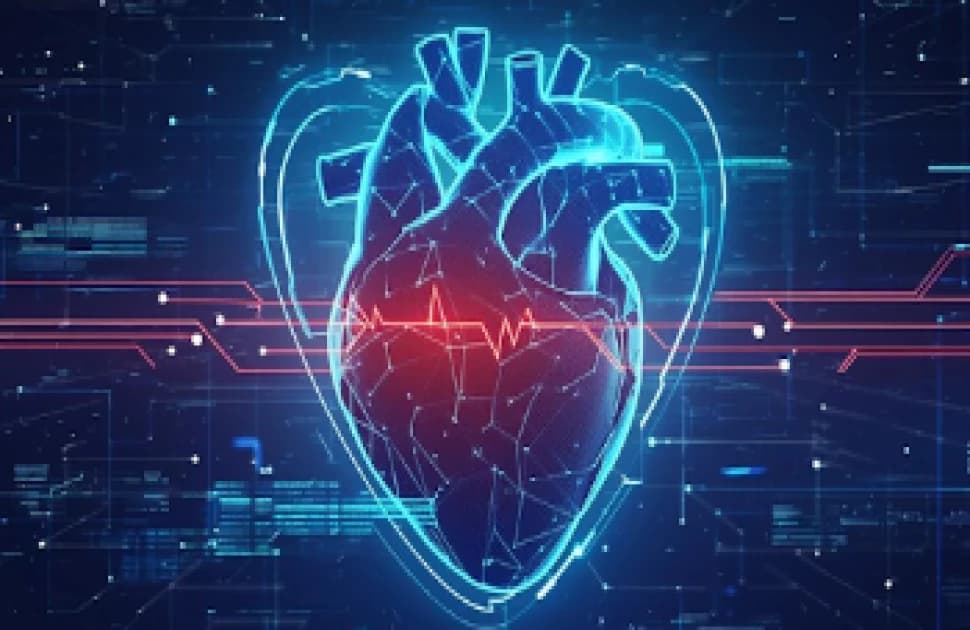 Development of ‘digital twin’ heart models for monitoring PAH NHS patients