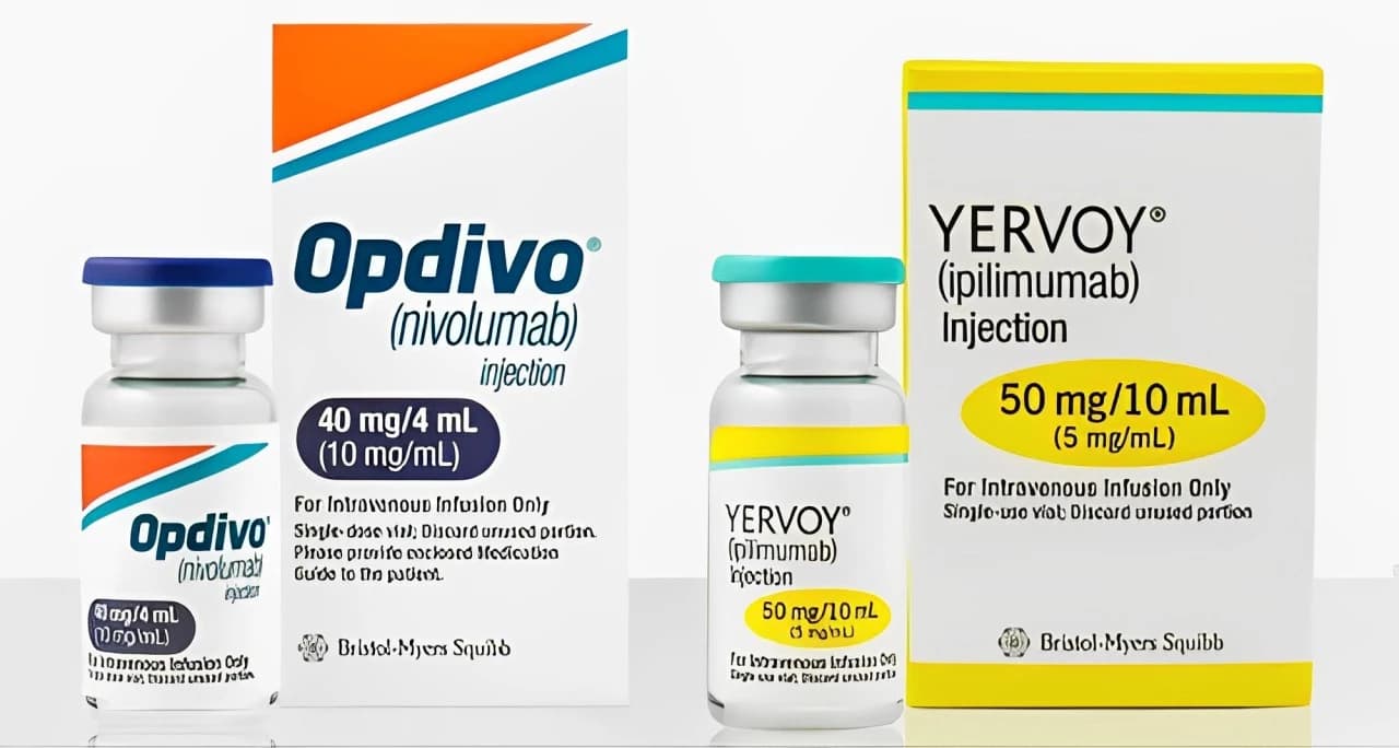 EMA Validates Opdivo and Yervoy Combo for Advanced Liver Cancer