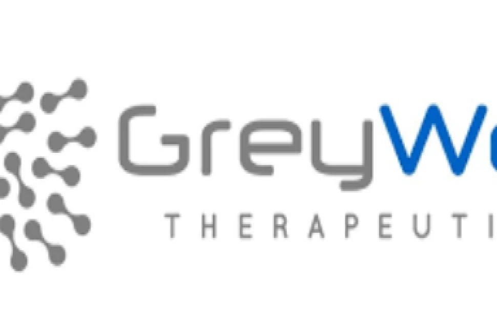 Grey Wolf Therapeutics raised 46 million Euros to treat Autoimmune disease