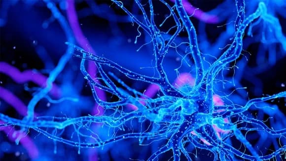 Milestone Reached In Neuroscience Collaboration Between Evotec And Bristol Myers Squibb
