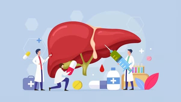 Pharma Giants Boehringer And Zealand Gear Up For GLP1-RA MASH Competition
