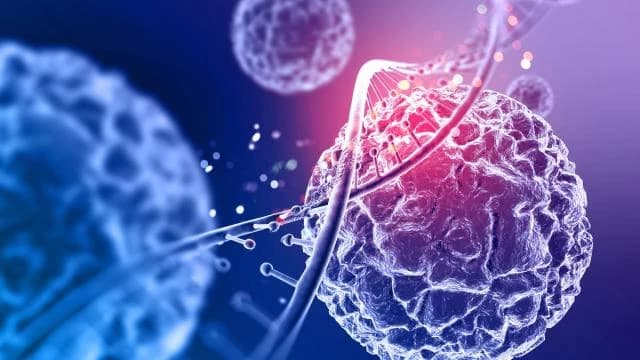 Revolutionizing Cancer Treatment: Brenus Pharma Unveils STC-1010 at ASCO 2024, Targets Advanced Colorectal Cancer