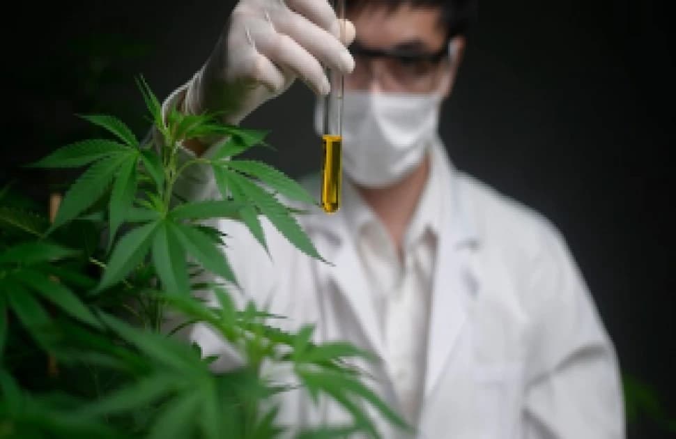 The U.S. shares a proposal to lessen restrictions on marijuana