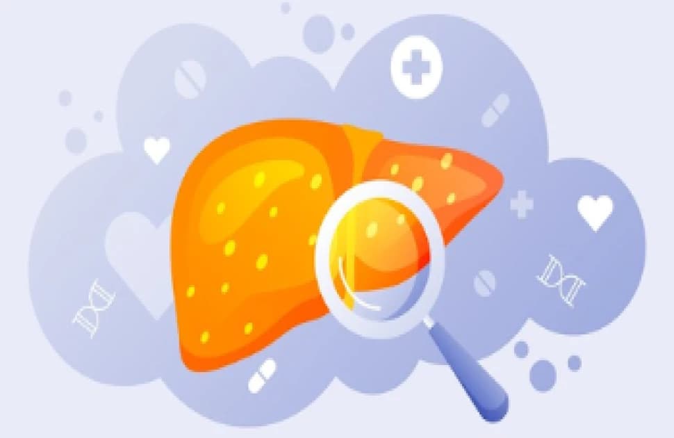 US researchers bring new hope to the Patients fighting with Liver Cancer