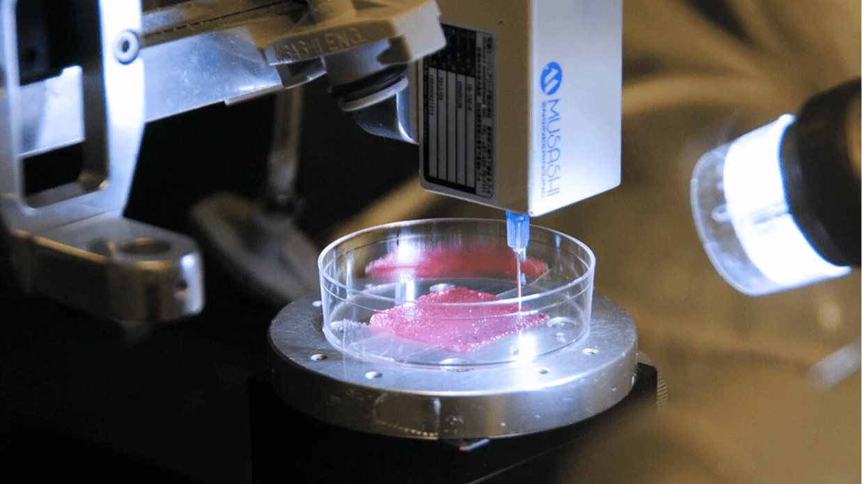 Inside a 3D Cell Culture Lab: Equipment, Costs & Setup Guide