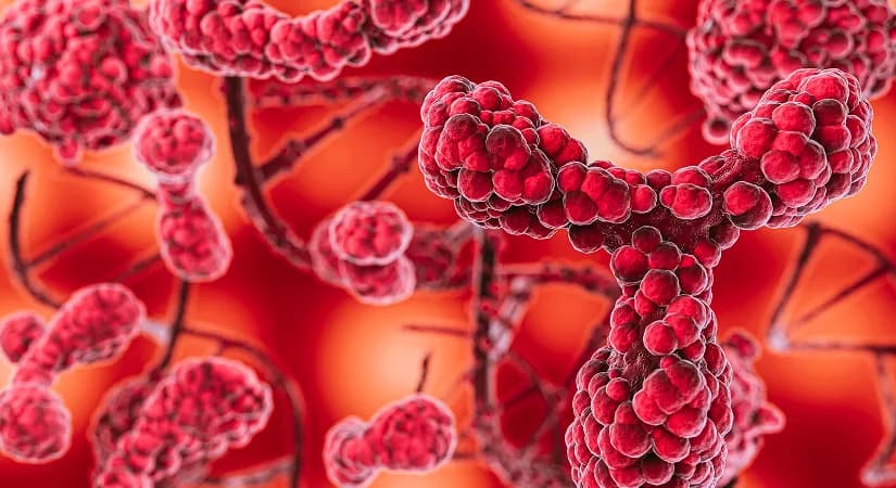 PROTACs and Molecular Glues: How Targeted Protein Degradation Is Redefining Drug Discovery
