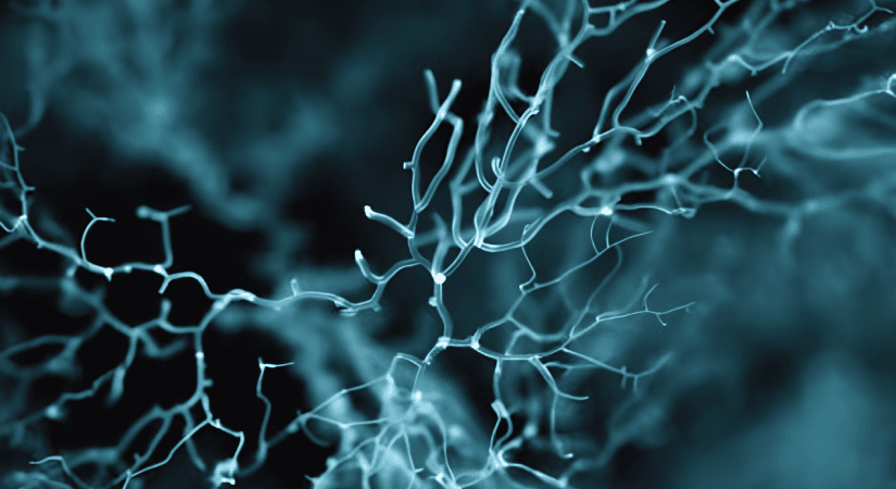 How AI In Pharma Is Reinforcing GMP Standards And Reshaping Pharmaceutical Operations?