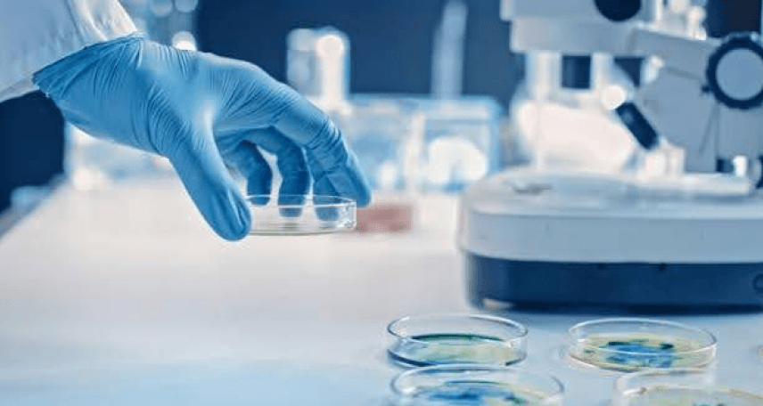 The Next Frontier In Pharma QC: MALDI-TOF And Sequencing For Microbial Detection And Typing