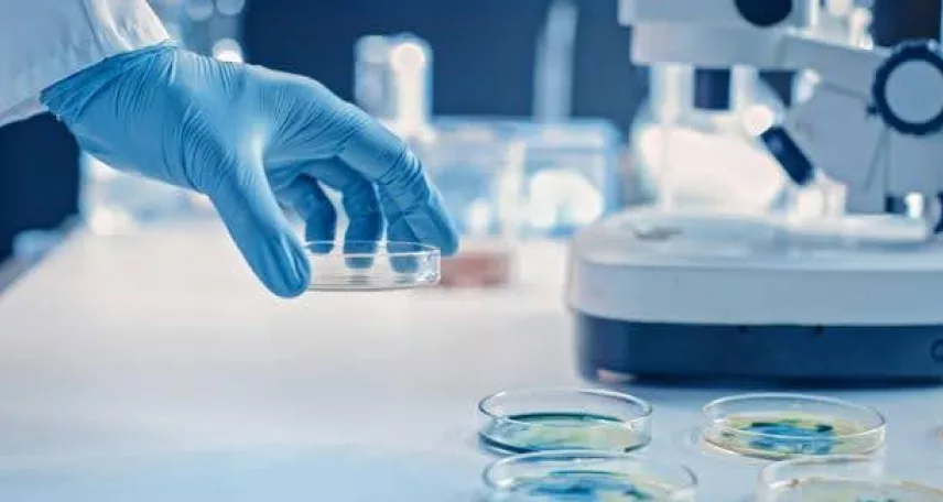 La prossima frontiera nel controllo qualità farmaceutico: MALDI-TOF e sequenziamento per il rilevamento e la tipizzazione microbica
