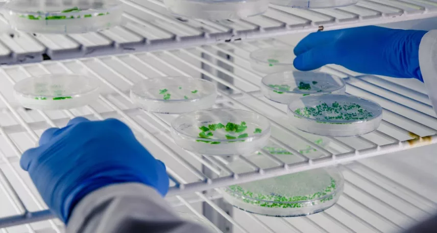 HACCP for Microbiologists: Step-by-Step Guide from Hazards to Critical Control Points
