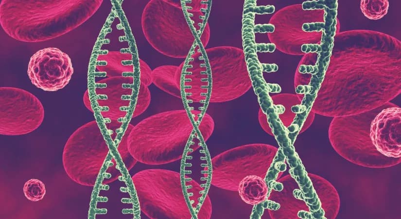 Herstellung von mRNA-Therapeutika: Ein Überblick