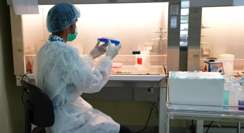 Die Reise einer Dosis: Erforschung des Pulverfüllprozesses in der pharmazeutischen Herstellung