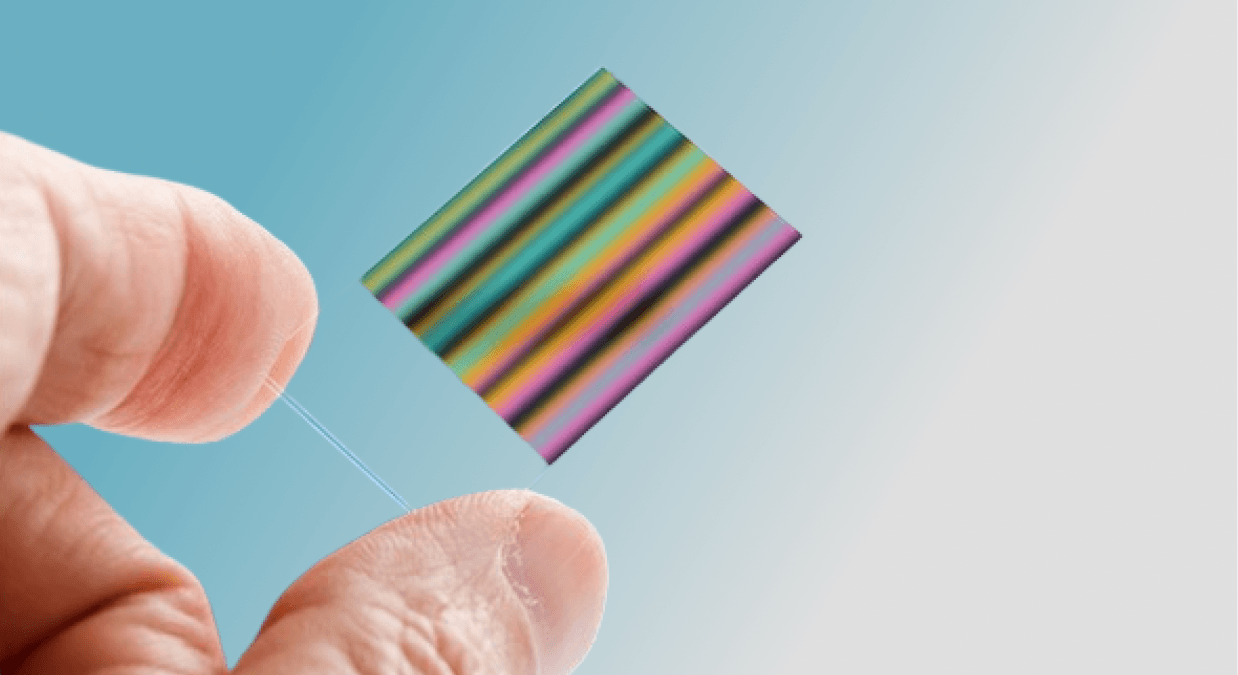 What is Chromatography? A Beginner's Guide with Examples