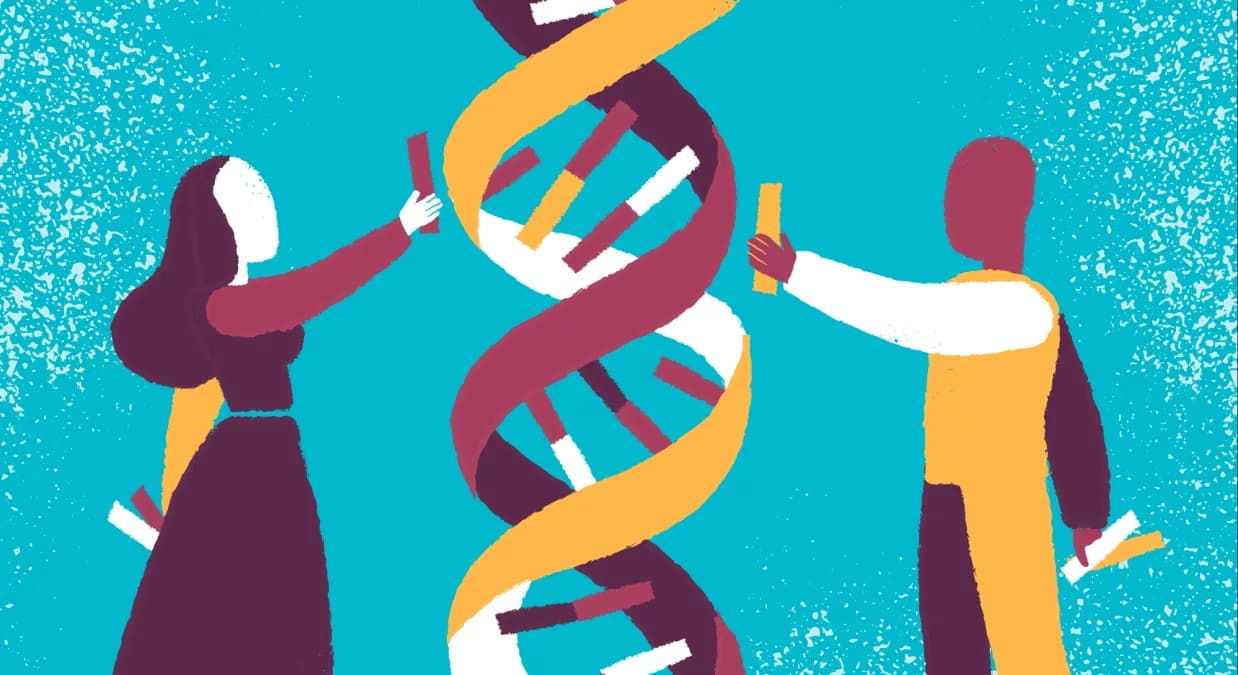 Drug Development Process: From Discovery to Market