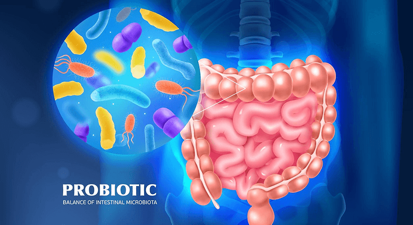 Can the Gut Microbiome Predict Drug Response?