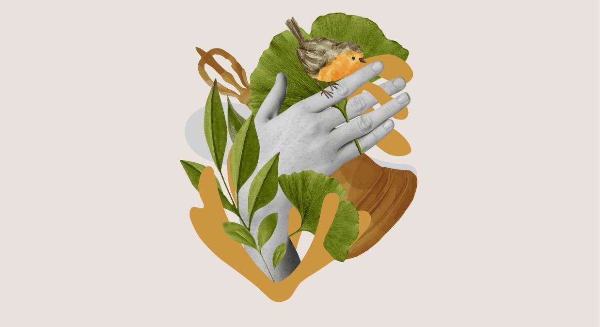 Nutraceuticals — “To be or not to be”