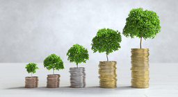 For Leaders