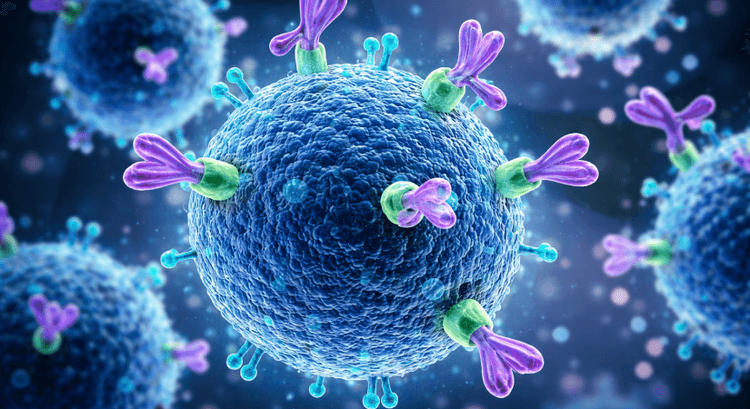 How Anti-CD8 Alpha Antibody Helps in Determining Failure of a Treatment