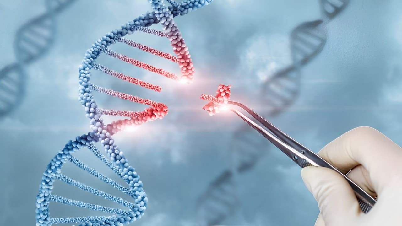 Affinia Therapeutics And Forge Biologics Partner To Advance Gene Therapies For Cardiovascular And Neurological Diseases