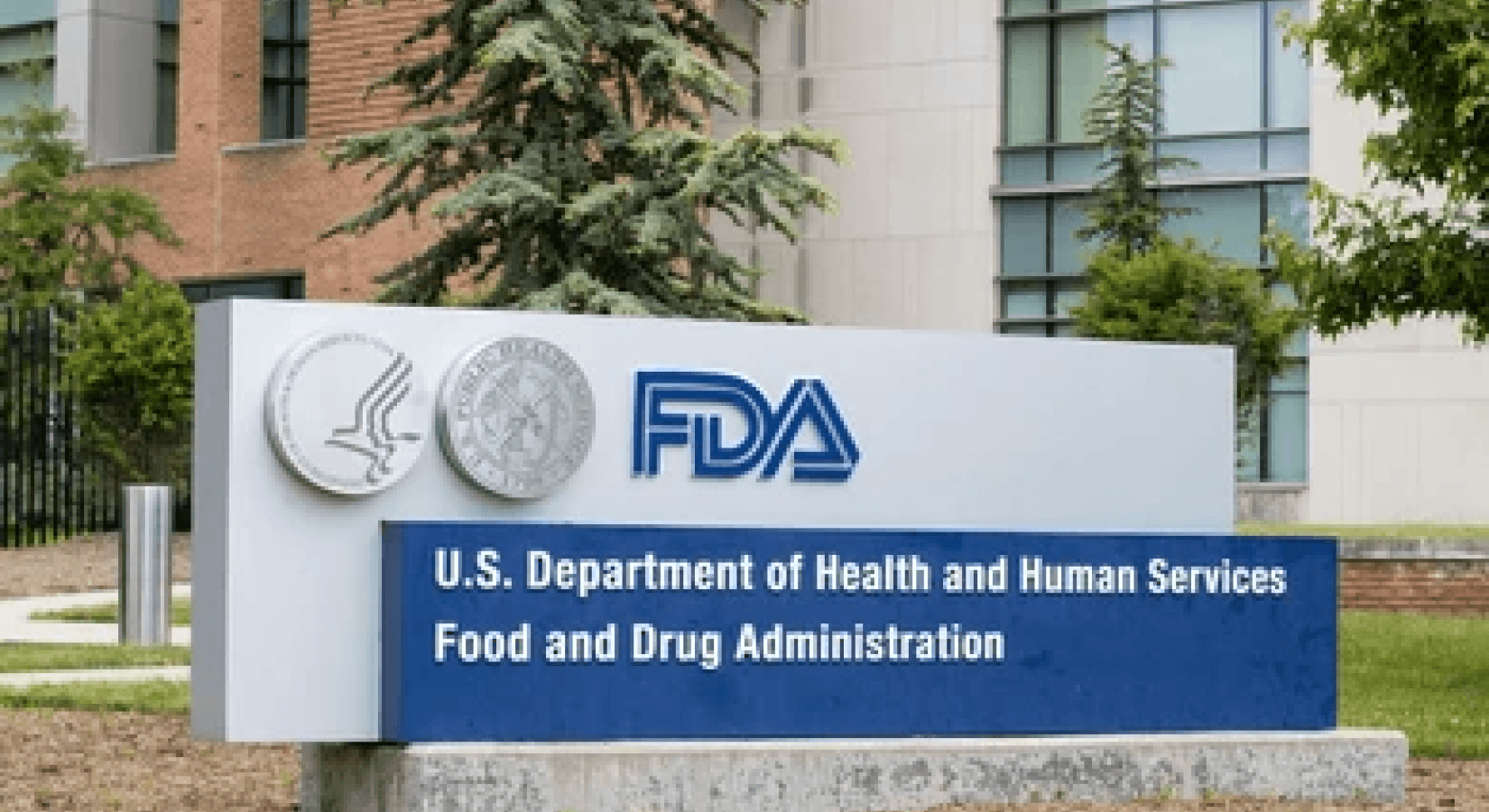 FDA Backs Adial Pharmaceuticals' Strategy for AD04 Addiction Therapy