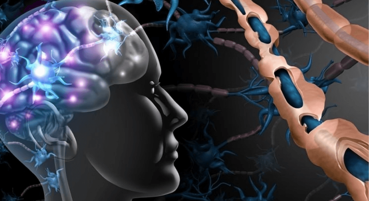 NEJM Publishes HERCULES Results Showing Tolebrutinib Slows Disability In Non-Relapsing MS