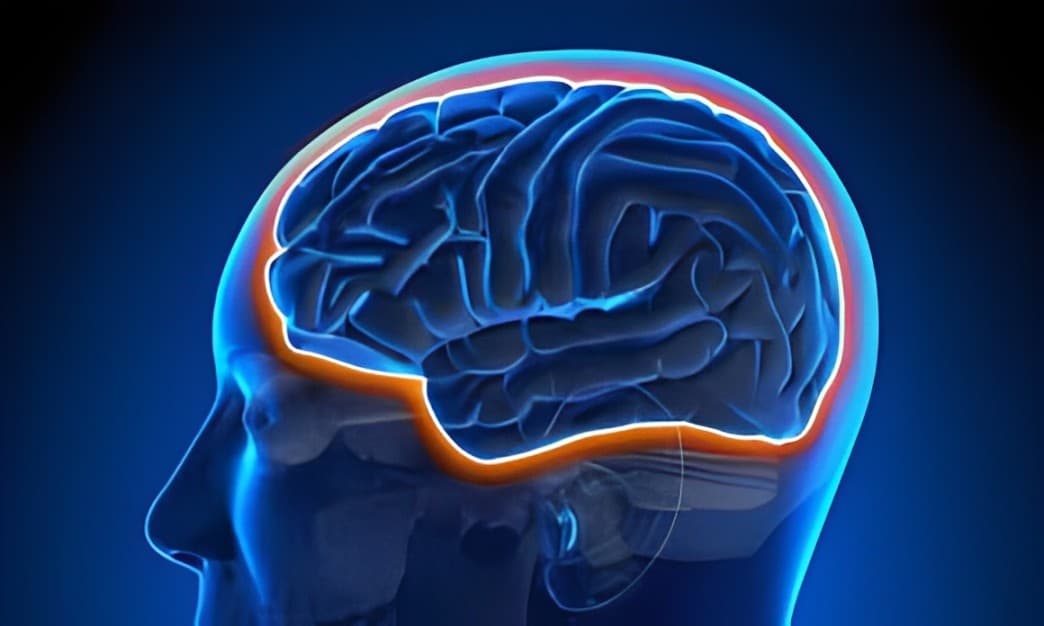 AbbVie Expands Alzheimer’s Research With Aliada Acquisition, Targeting Blood-Brain Barrier Delivery