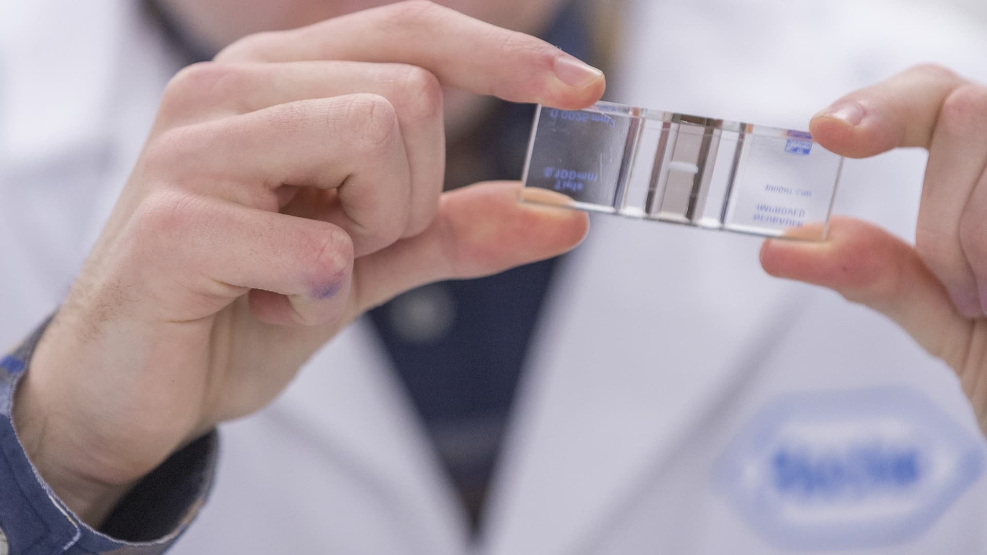 Roche's Fenebrutinib Shows Promise in Treating Relapsing Multiple Sclerosis in Early Study Results