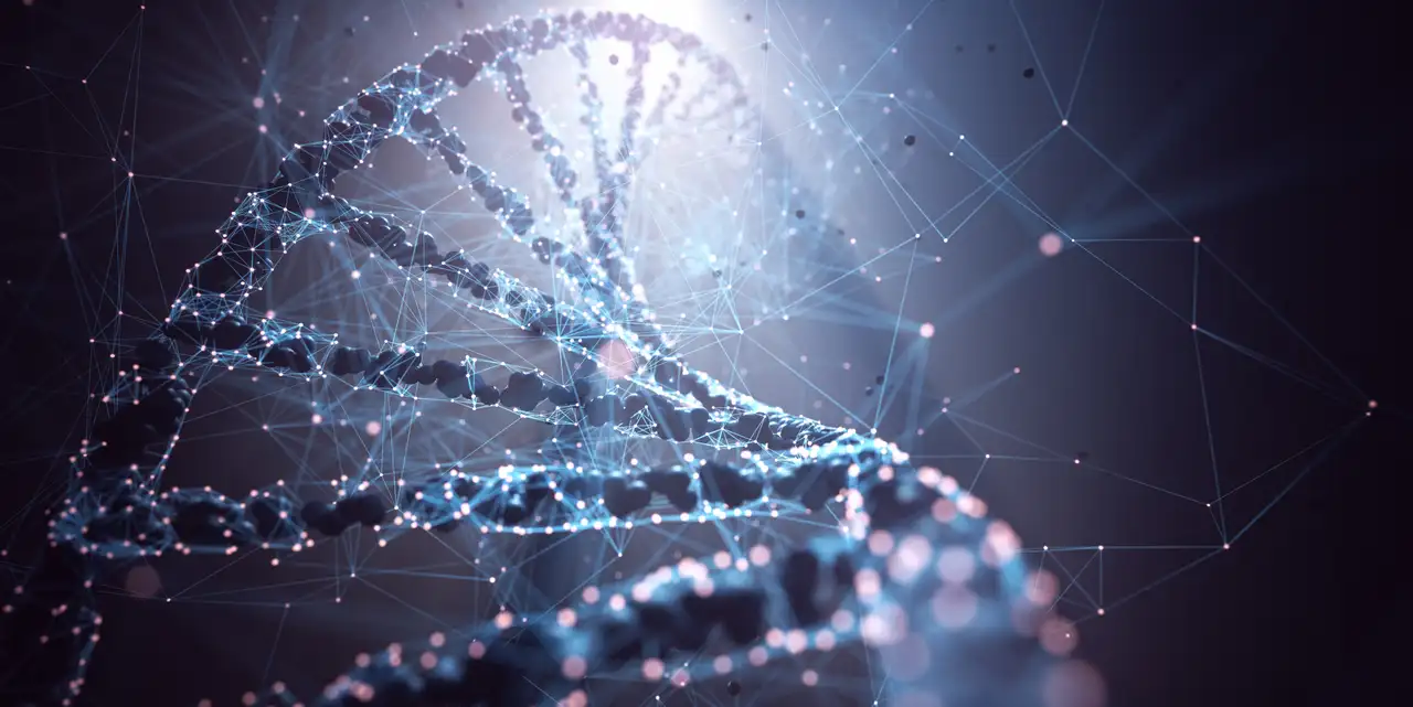 Rocket Pharmaceuticals Restructures To Prioritize Cardiovascular Gene Therapies And Delays FA And PKD Programs