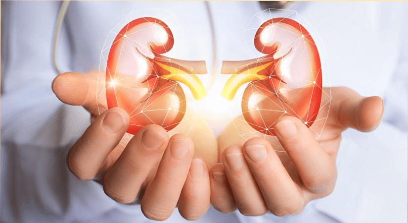 United Therapeutics Completes First UKidney Transplant