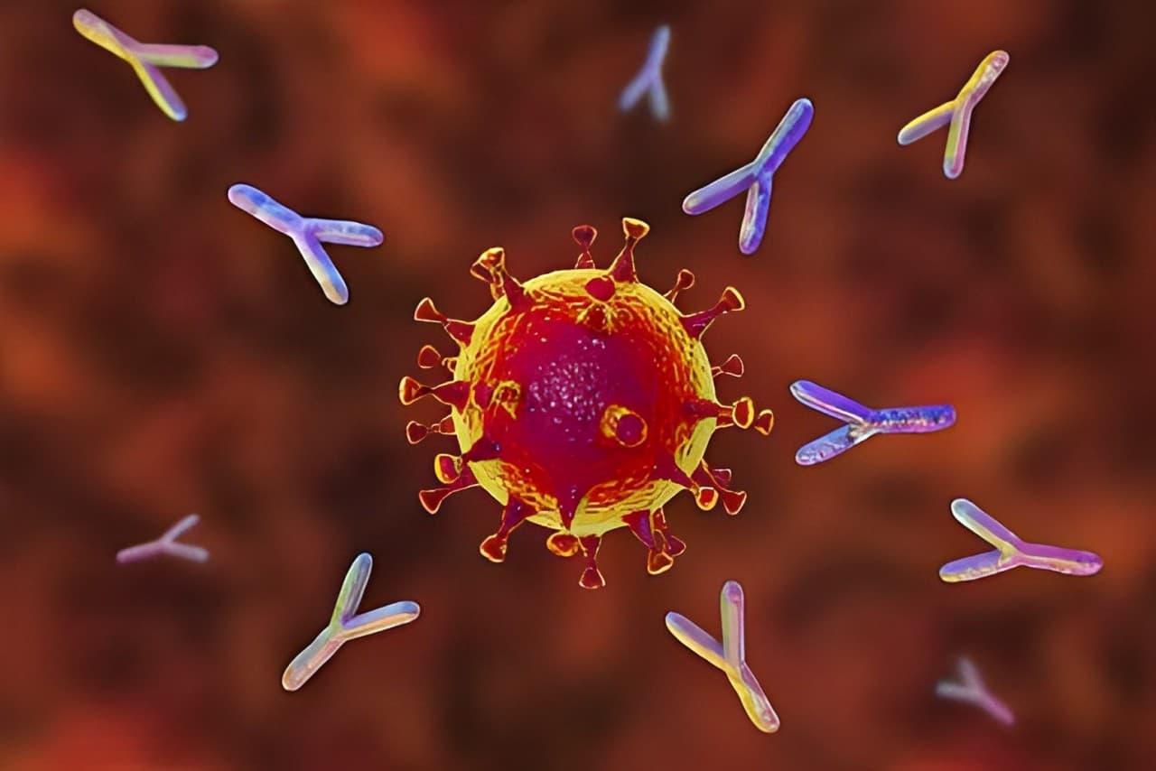 BioAtla And Context Therapeutics Set To Develop And Commercialize Innovative T Cell Engaging Antibody