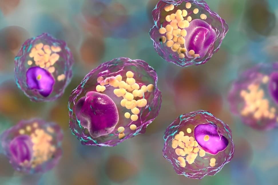 Carisma Therapeutics Highlights Engineered Macrophage Success In Liver Fibrosis Treatment At AASLD 2024
