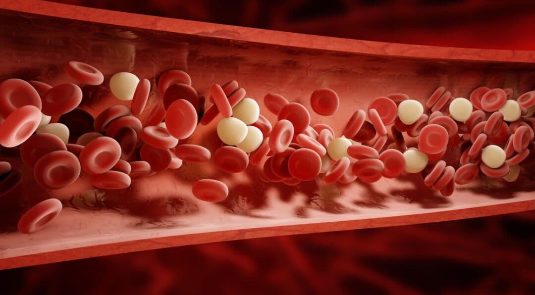 Cadrenal Therapeutics And Abbott Join Forces To Revolutionize Anticoagulant Therapy For LVAD Patients
