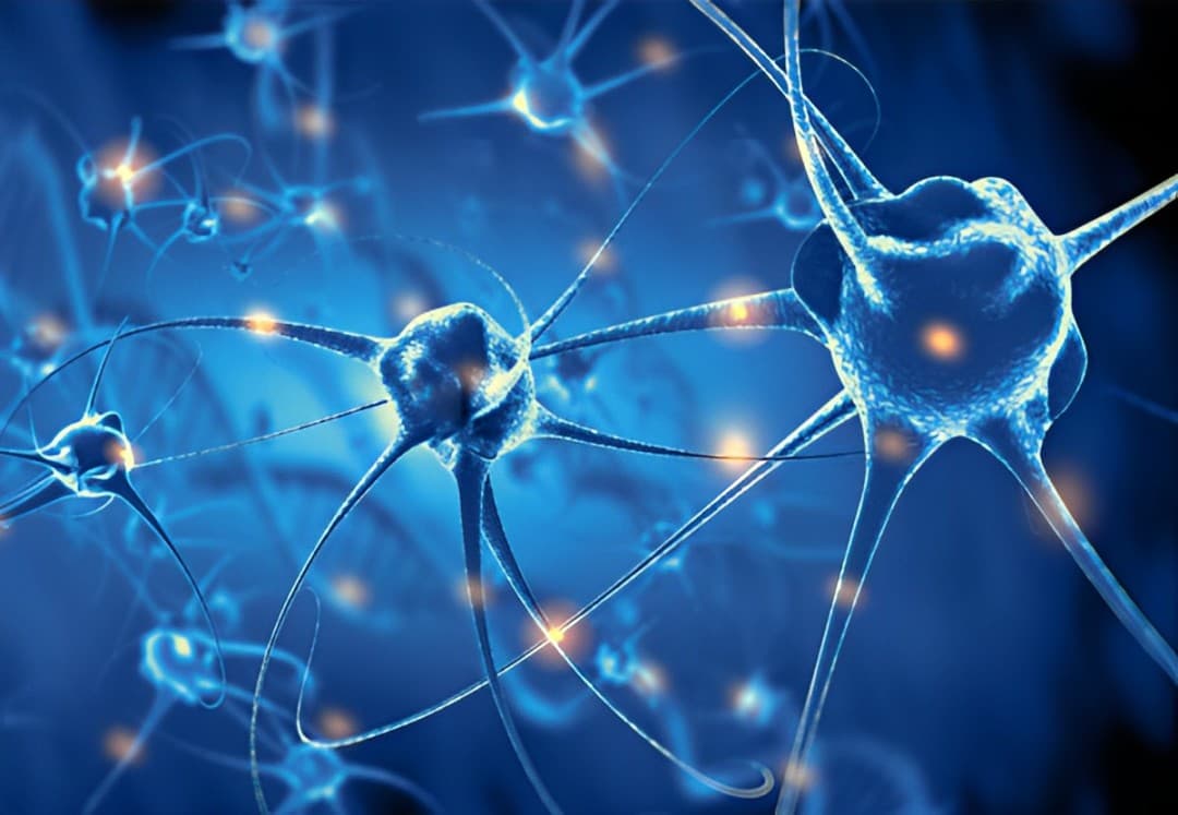 Alera Pharma Launches with Neurology Focus and New Leadership