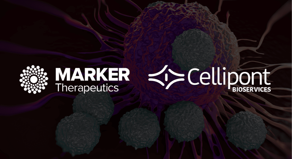 Marker Therapeutics Partners With Cellipont For MT-601 Manufacturing To Accelerate Clinical And Commercial Plans