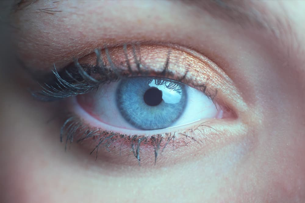 FDA Clears Ocugen’s OCU410ST To Begin Confirmatory Stargardt Study