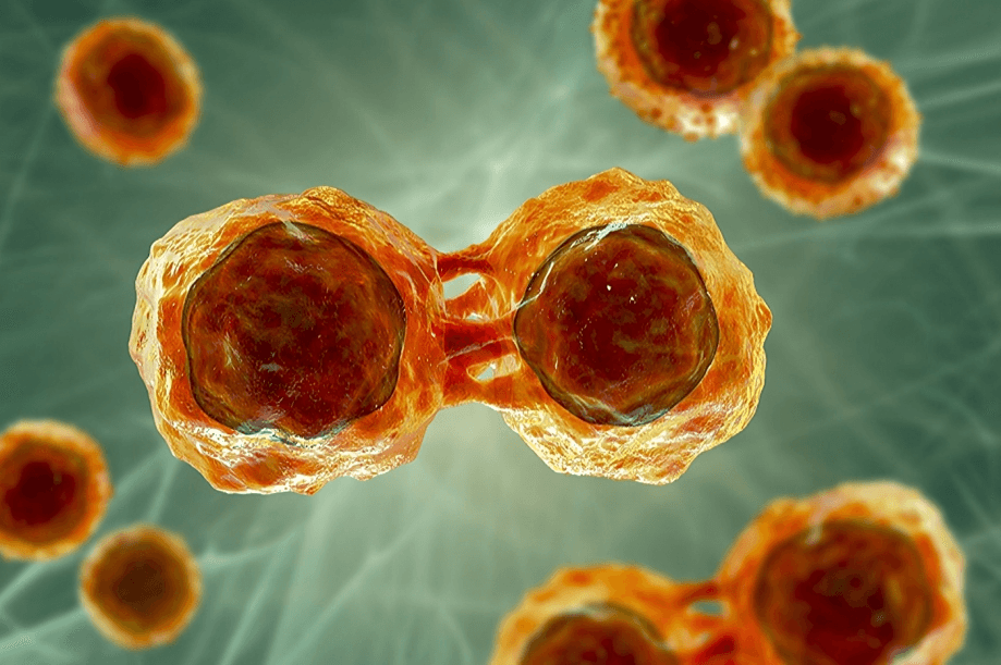 Qilu Pharmaceutical Shares Promising Phase Ia Study Results for GPRC5D/CD3-Targeting Antibody QLS32015