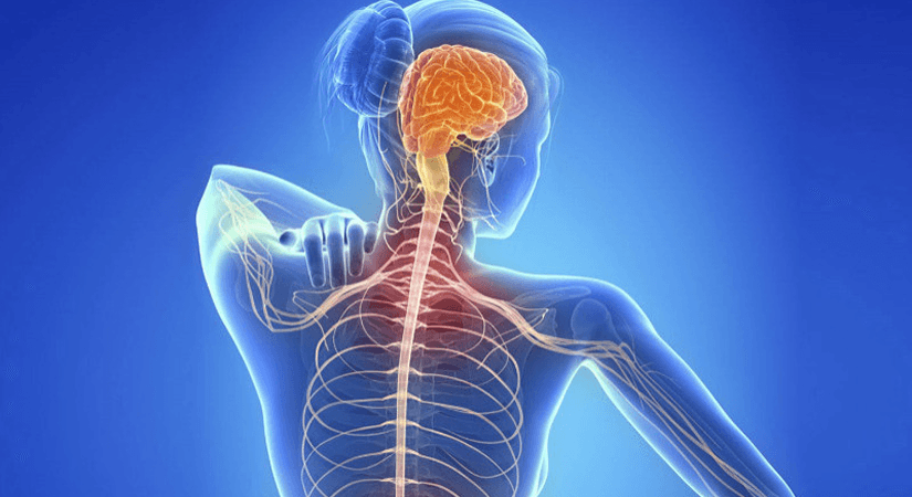 Kyverna Therapeutics Gains RMAT Designation for Miv-Cel in Progressive Multiple Sclerosis