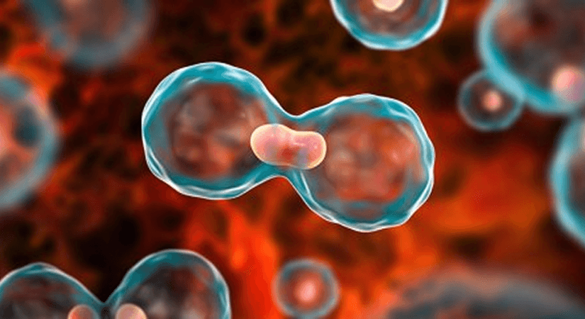 Silexion Therapeutics Reports New Preclinical Data Supporting SIL204 Combination With Immunotherapy In KRAS-Driven Cancers