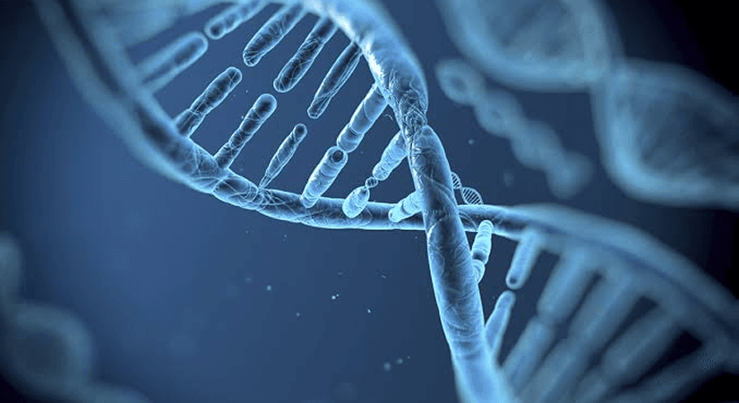 Ultragenyx Gains FDA Accelerated Approval for Genglycos in GSD1a, First-Ever Gene Therapy for the Disease