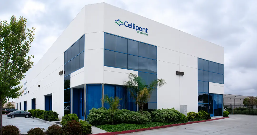 Cellipont Texas Facility Supports Six 2026 IND Programs