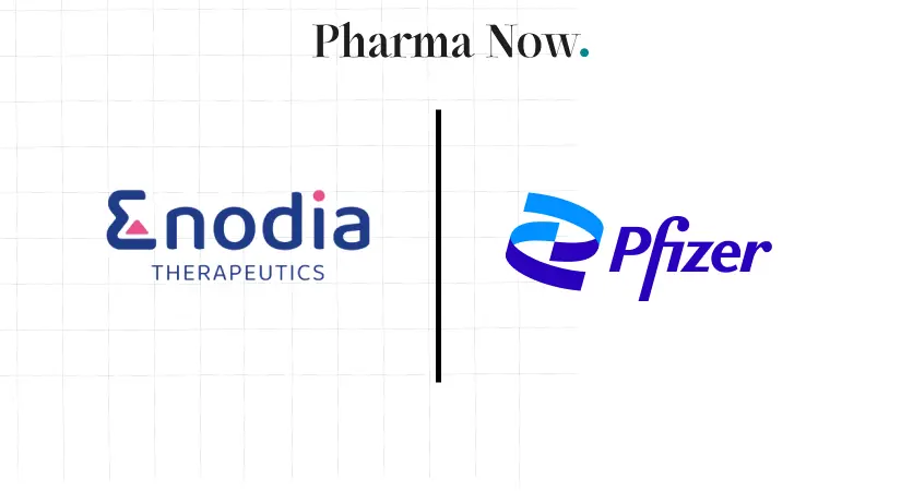 Enodia Therapeutics Signs Pfizer Deal Worth Over $500 Million