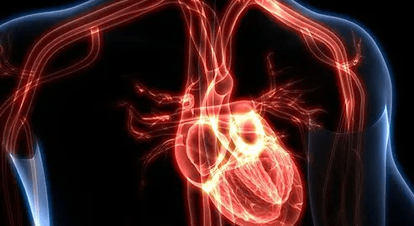 Capricor Therapeutics Faces 9-3 AdCom Rejection for Deramiocel in Duchenne Cardiomyopathy