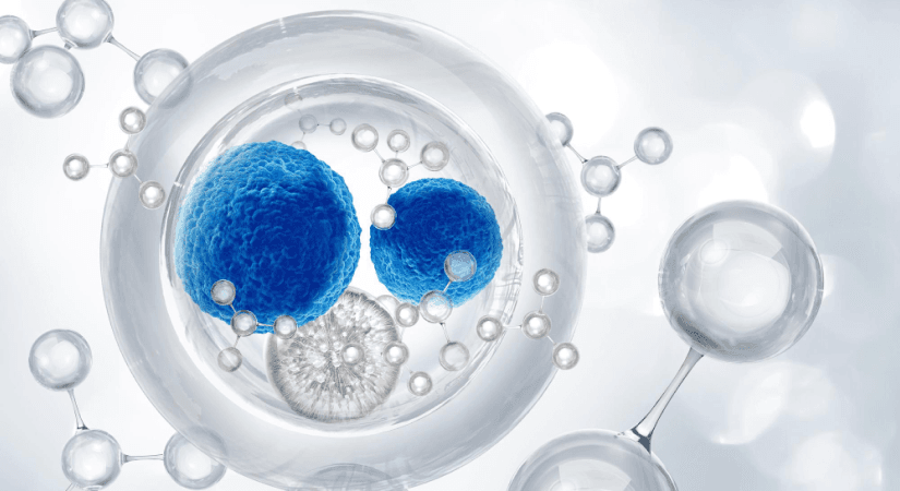 3D Cell Culture Explained: Types, Applications, and Emerging Trends in Pharma
