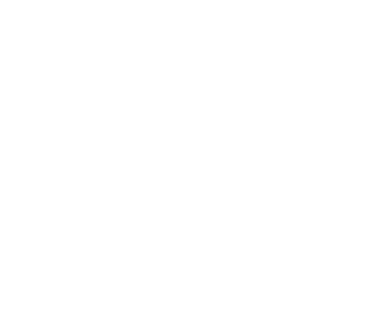 Disinfectant Partner